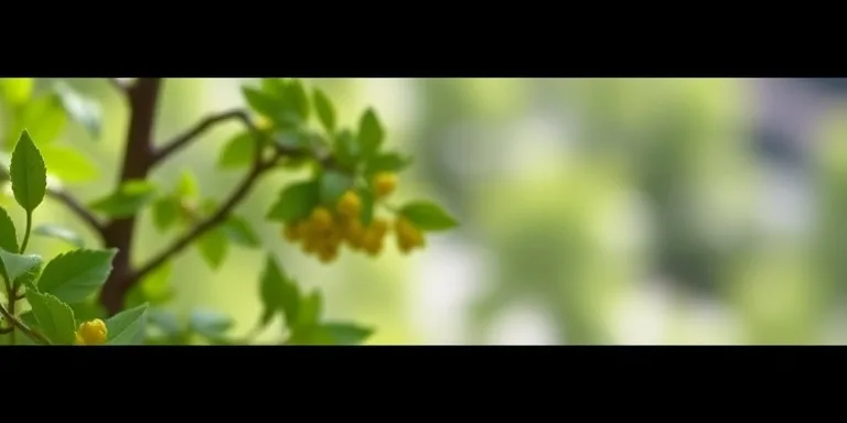 Vanilla JS Slider