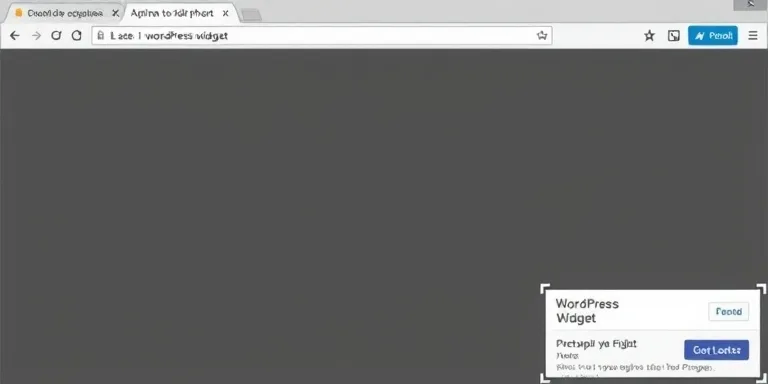 WordPress Widget Olusturma
